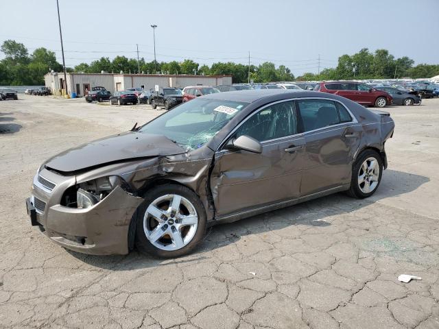 CHEVROLET MALIBU 1LT 2010 1g1zc5eb1af164497