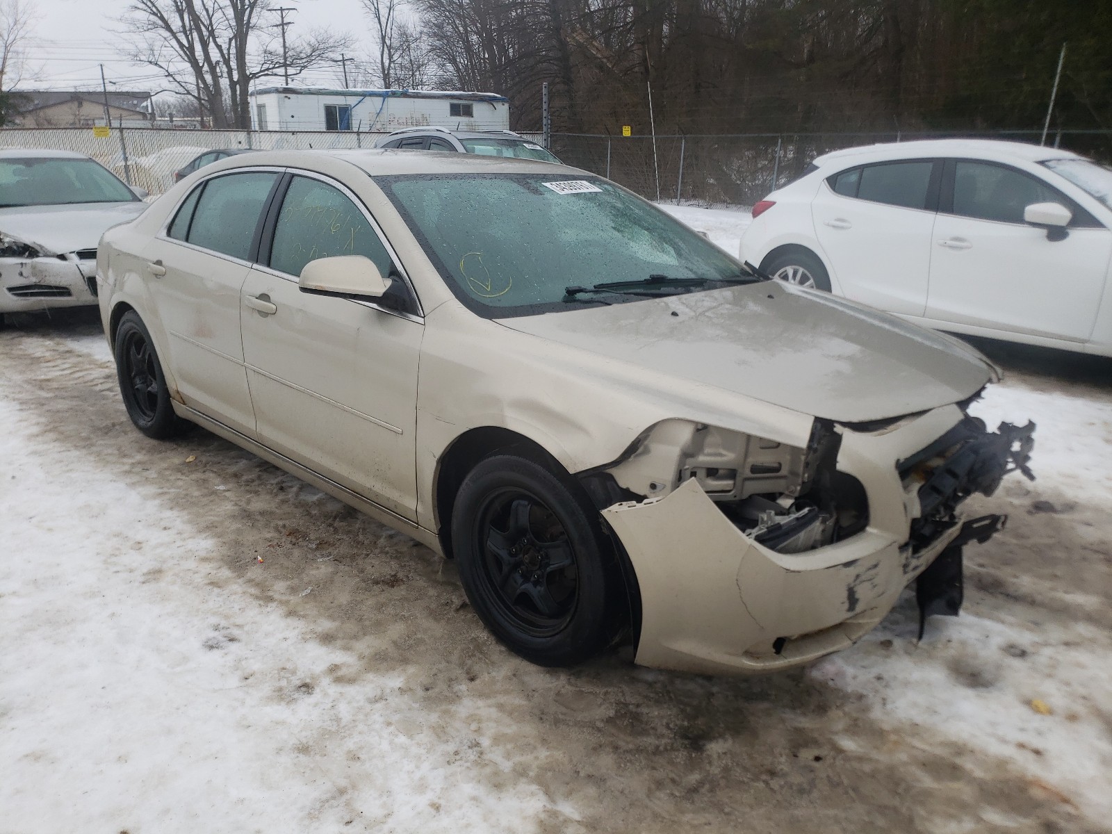 CHEVROLET MALIBU 1LT 2010 1g1zc5eb1af165200