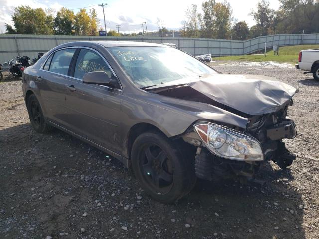 CHEVROLET MALIBU 1LT 2010 1g1zc5eb1af167562