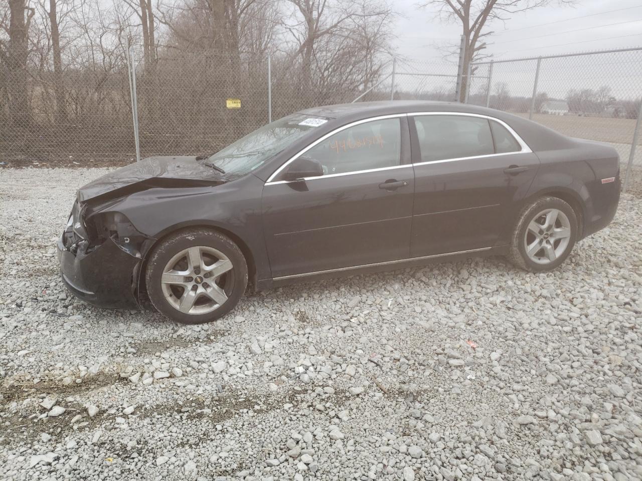 CHEVROLET MALIBU 2010 1g1zc5eb1af268519