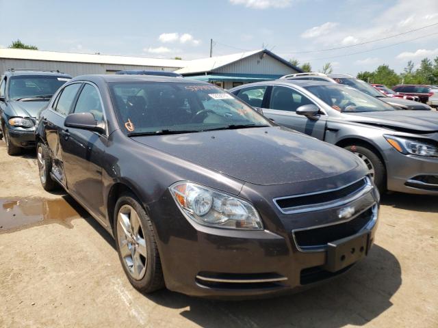 CHEVROLET MALIBU 1LT 2010 1g1zc5eb1af313300