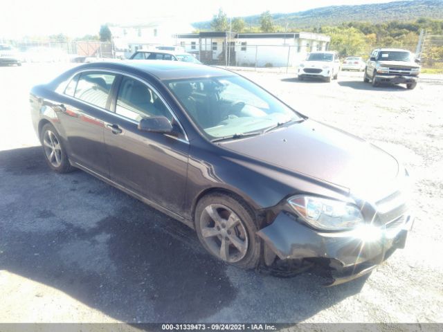 CHEVROLET MALIBU 2010 1g1zc5eb1af314009