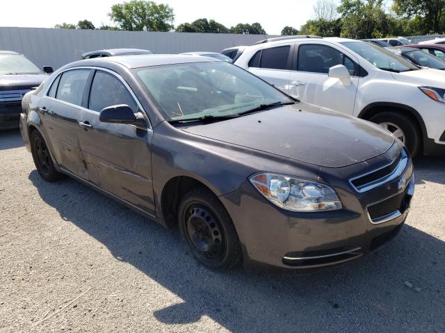 CHEVROLET MALIBU 1LT 2010 1g1zc5eb2a4134002