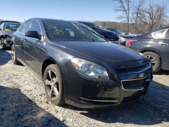 CHEVROLET MALIBU 1LT 0 1g1zc5eb2af120704