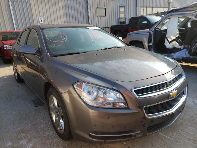 CHEVROLET MALIBU 1LT 2010 1g1zc5eb2af164265