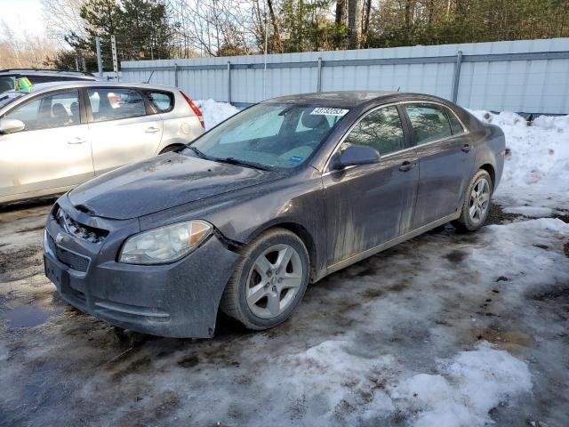 CHEVROLET MALIBU 1LT 2010 1g1zc5eb2af263331