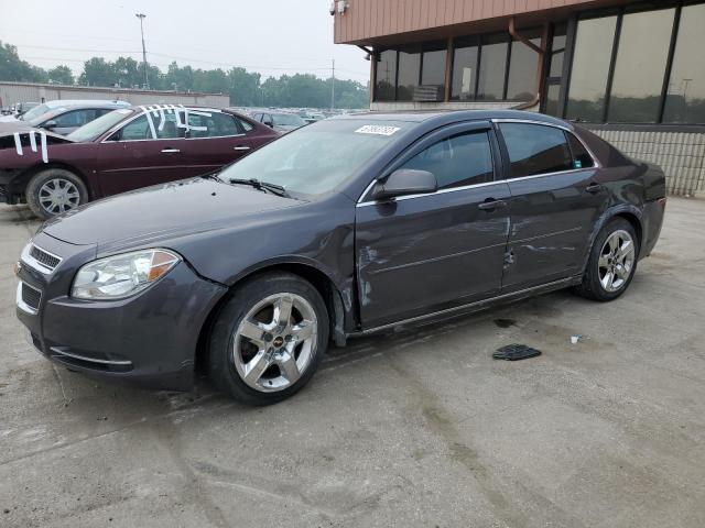 CHEVROLET MALIBU 1LT 2010 1g1zc5eb2af295549