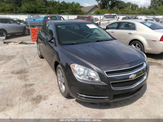 CHEVROLET MALIBU 2010 1g1zc5eb2af299519