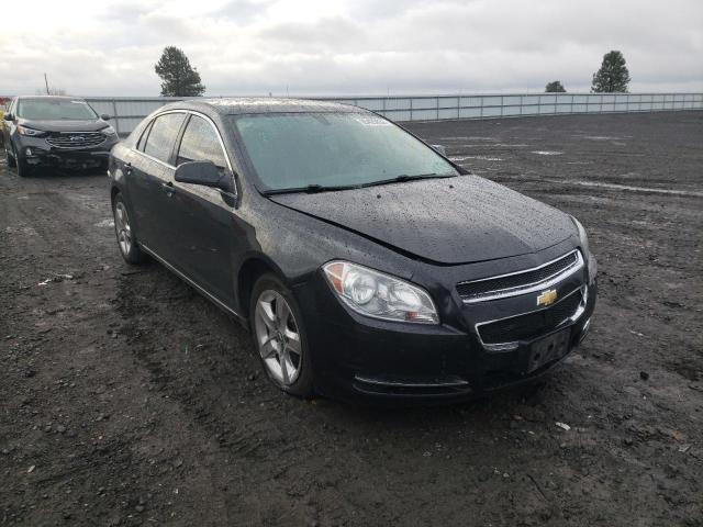 CHEVROLET MALIBU 1LT 2010 1g1zc5eb2af300880