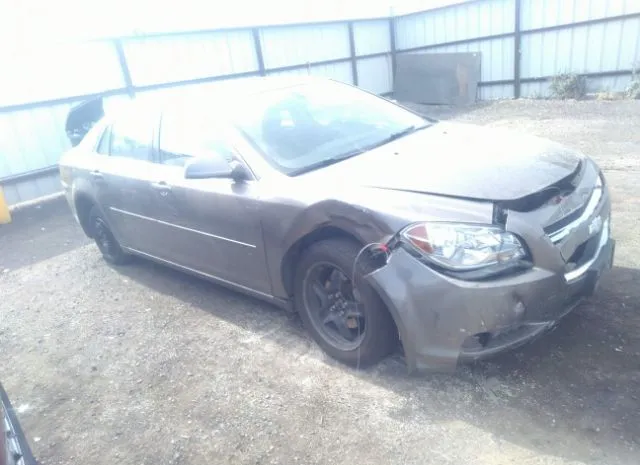 CHEVROLET MALIBU 2010 1g1zc5eb2af303195