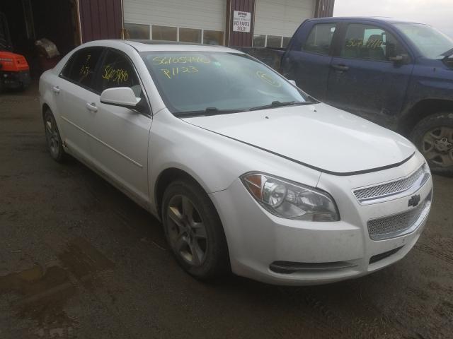 CHEVROLET MALIBU 1LT 2010 1g1zc5eb3a4113305