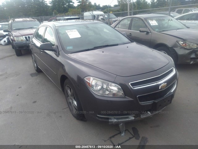 CHEVROLET MALIBU 2010 1g1zc5eb3a4151505