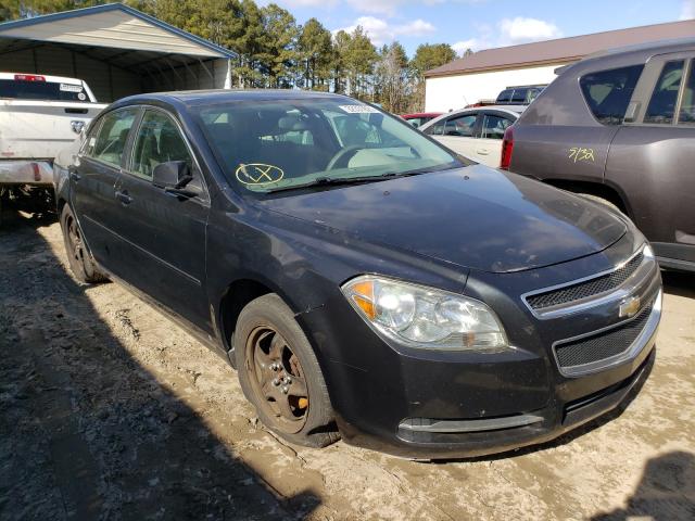 CHEVROLET MALIBU 1LT 2010 1g1zc5eb3af109906