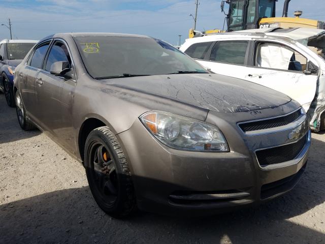 CHEVROLET MALIBU 1LT 2010 1g1zc5eb3af117682