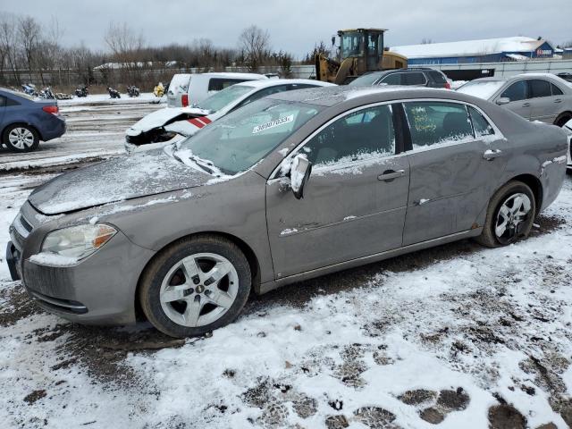 CHEVROLET MALIBU 1LT 2010 1g1zc5eb3af129315