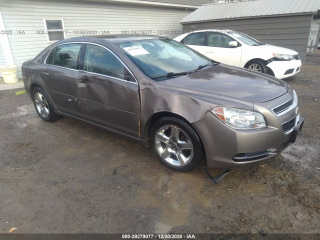 CHEVROLET MALIBU 2010 1g1zc5eb3af304386