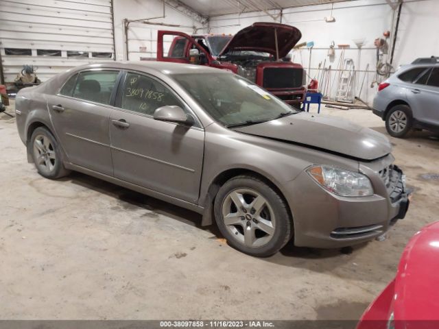 CHEVROLET MALIBU 2010 1g1zc5eb4af111308