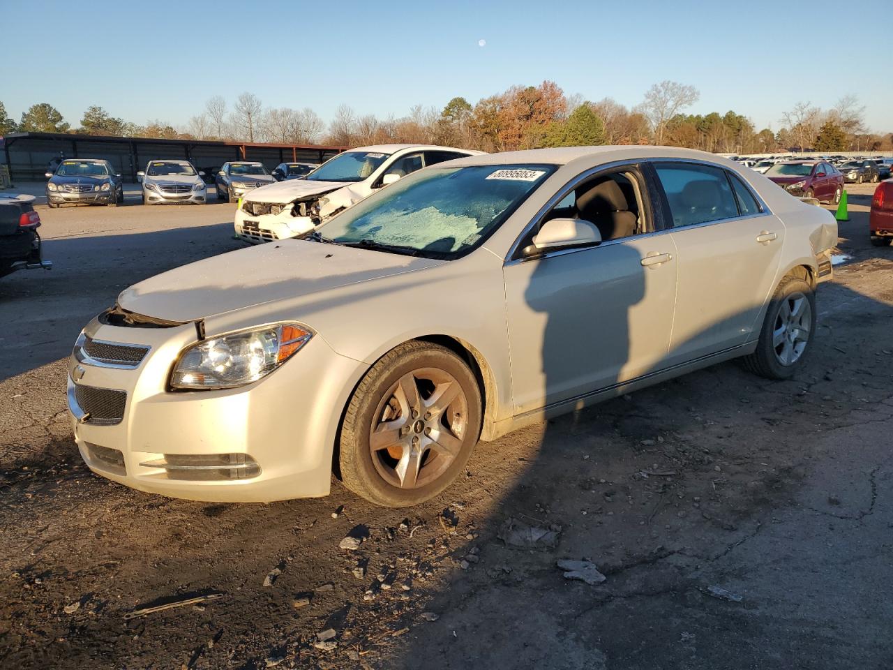 CHEVROLET MALIBU 2010 1g1zc5eb4af118128