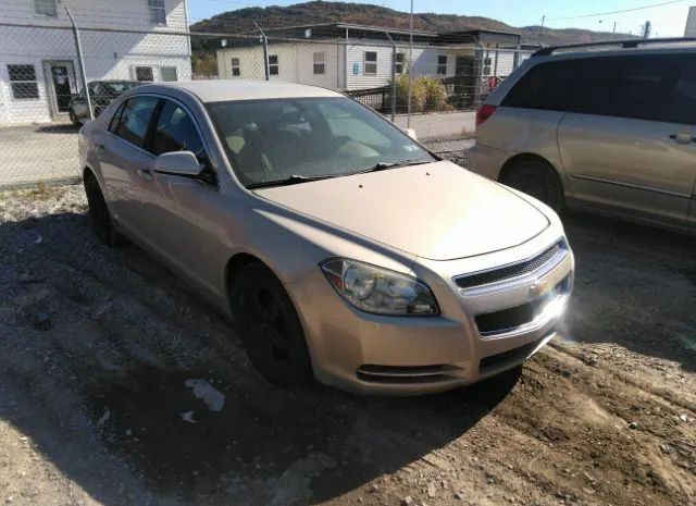 CHEVROLET MALIBU 2010 1g1zc5eb4af148018