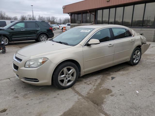 CHEVROLET MALIBU 2010 1g1zc5eb4af156829