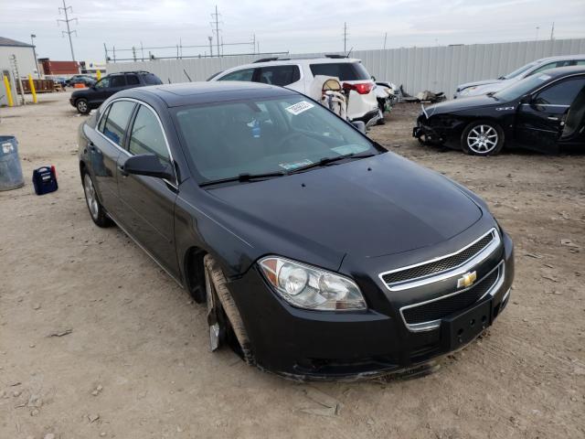 CHEVROLET MALIBU 1LT 2010 1g1zc5eb4af224787