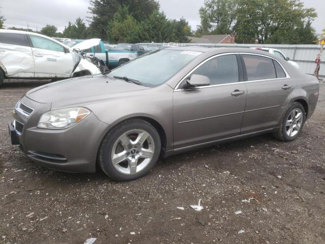 CHEVROLET MALIBU 1LT 2010 1g1zc5eb4af243209