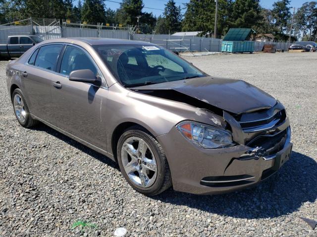 CHEVROLET MALIBU 1LT 2010 1g1zc5eb4af292054