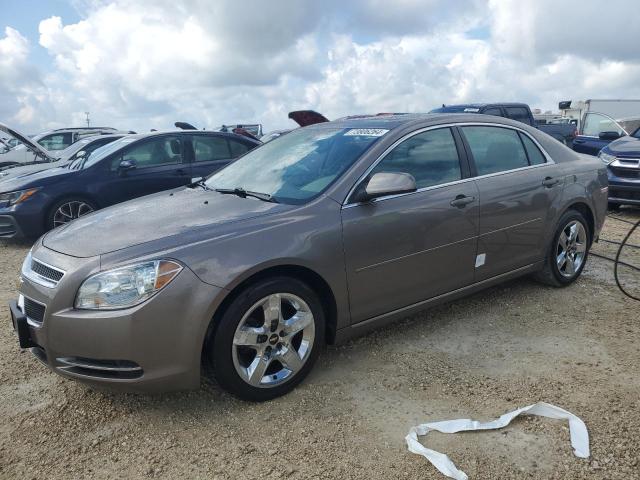 CHEVROLET MALIBU 1LT 2010 1g1zc5eb4af316160