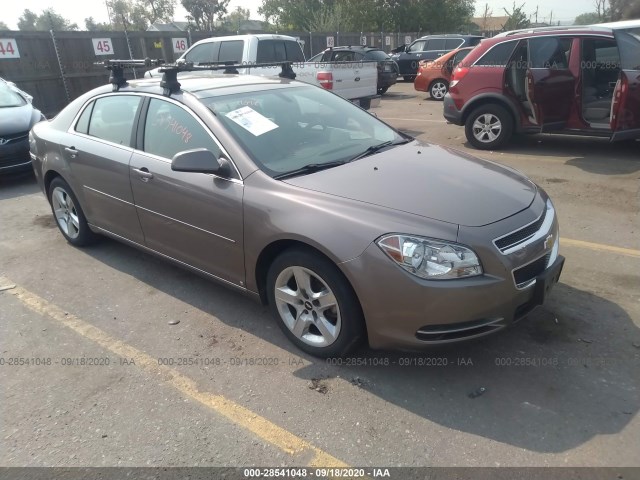 CHEVROLET MALIBU 2010 1g1zc5eb5af114105