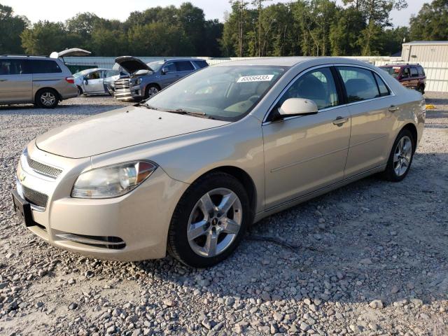 CHEVROLET MALIBU 1LT 2010 1g1zc5eb5af141384