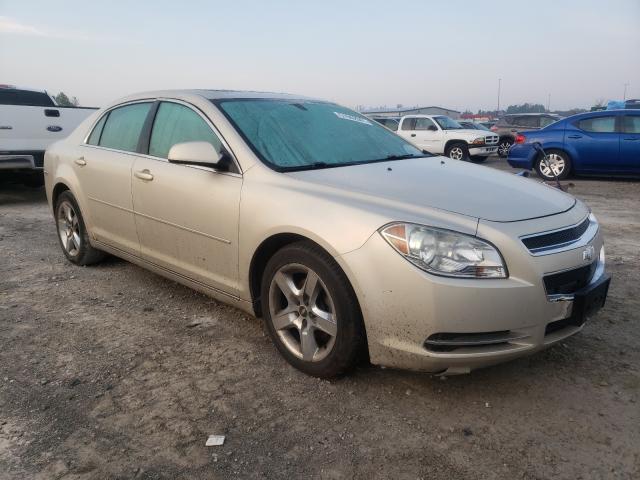 CHEVROLET MALIBU 1LT 2010 1g1zc5eb5af158234