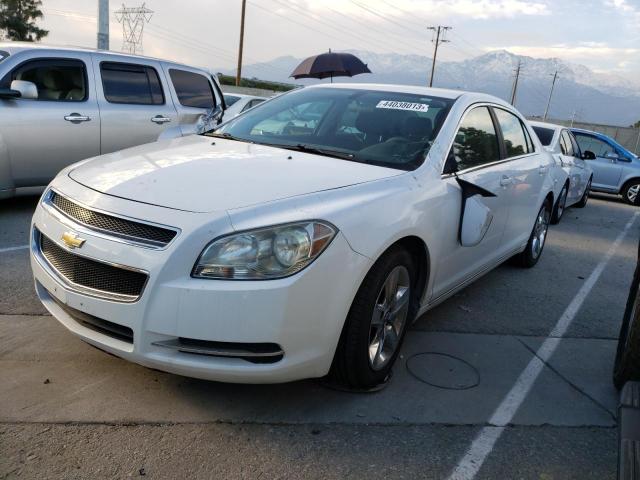 CHEVROLET MALIBU 1LT 2010 1g1zc5eb5af186891