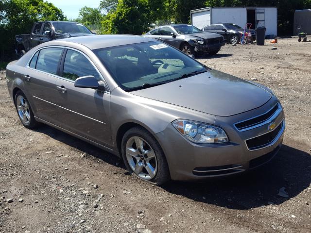 CHEVROLET MALIBU 2010 1g1zc5eb5af195445