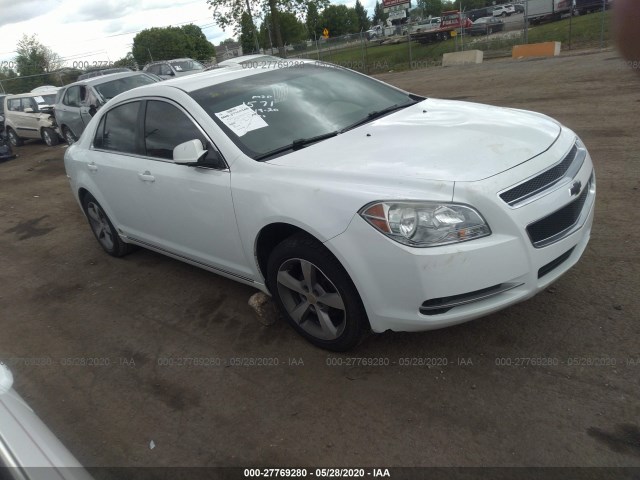 CHEVROLET MALIBU 2010 1g1zc5eb5af231571