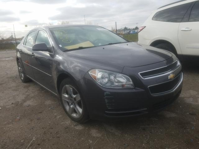 CHEVROLET MALIBU 1LT 2010 1g1zc5eb5af250556