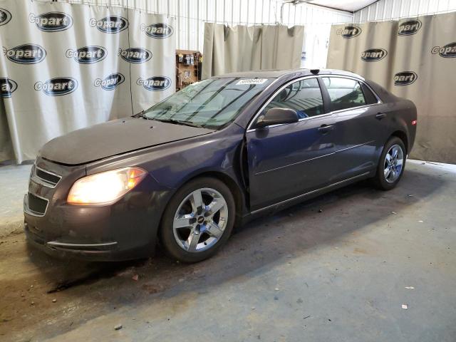 CHEVROLET MALIBU 1LT 2010 1g1zc5eb6a4141485