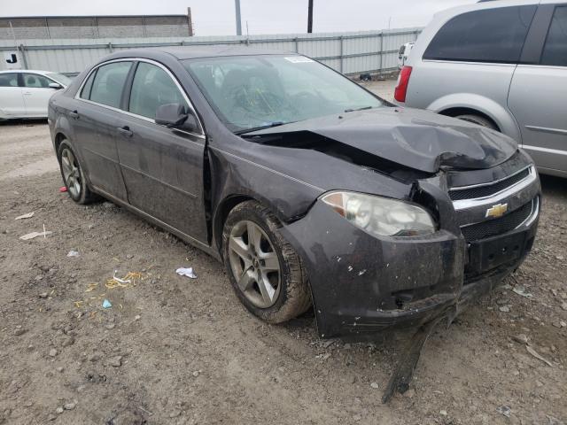 CHEVROLET MALIBU 1LT 2010 1g1zc5eb6a4161123