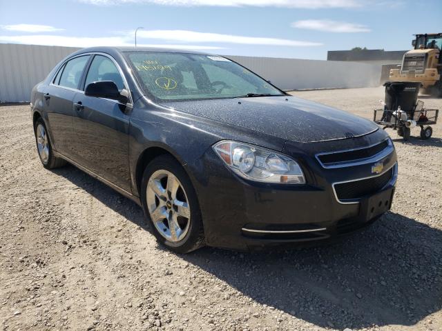 CHEVROLET MALIBU 1LT 2010 1g1zc5eb6af195129