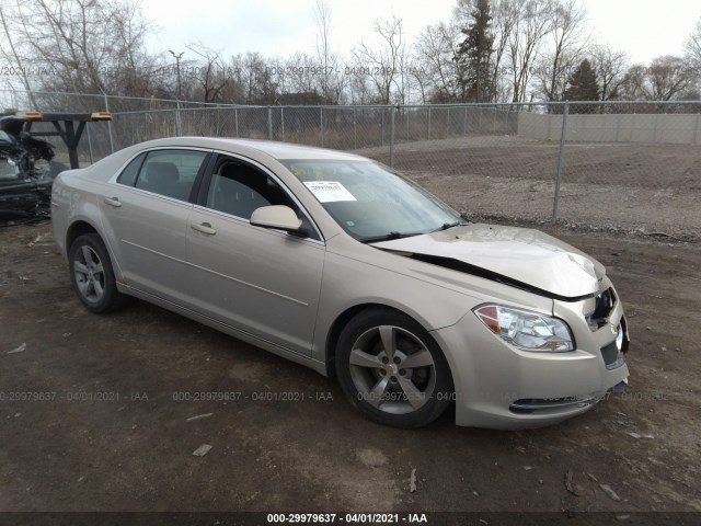 CHEVROLET MALIBU 2010 1g1zc5eb6af242336