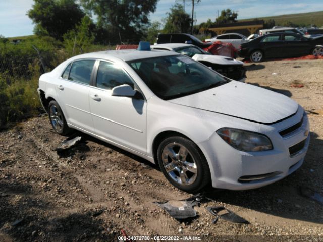 CHEVROLET MALIBU 2010 1g1zc5eb6af285302