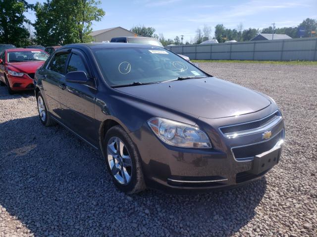 CHEVROLET MALIBU 1LT 2010 1g1zc5eb6af296705