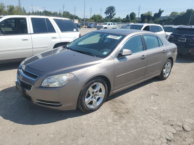 CHEVROLET MALIBU 1LT 2010 1g1zc5eb6af299118