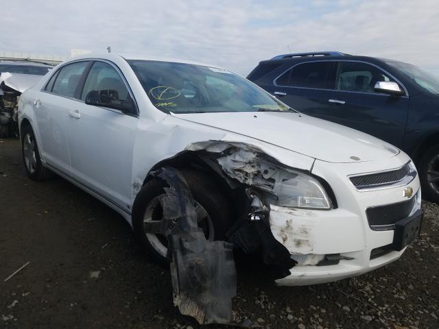 CHEVROLET MALIBU 1LT 2010 1g1zc5eb7a4103764