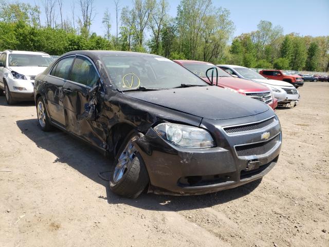 CHEVROLET MALIBU 1LT 2010 1g1zc5eb7af121122