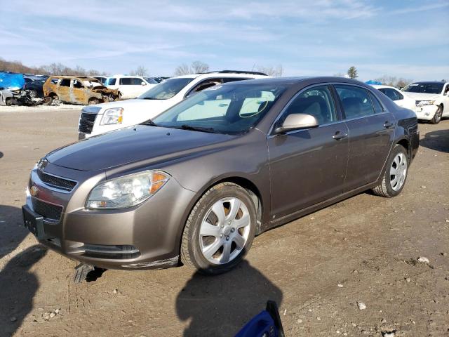 CHEVROLET MALIBU 1LT 2010 1g1zc5eb7af123386