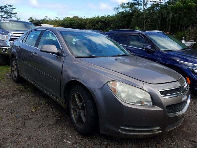 CHEVROLET MALIBU 1LT 2010 1g1zc5eb7af163631