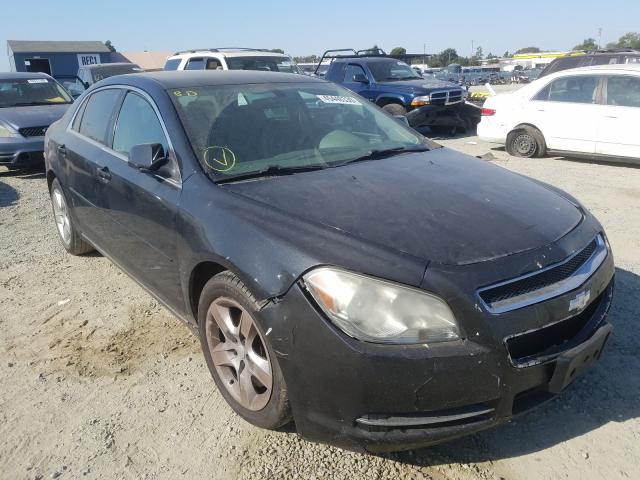 CHEVROLET MALIBU 1LT 2010 1g1zc5eb7af177156