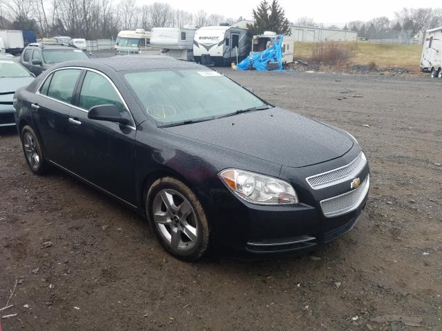 CHEVROLET MALIBU 1LT 2010 1g1zc5eb7af229868