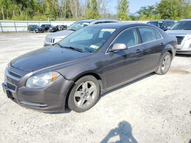 CHEVROLET MALIBU 2010 1g1zc5eb7af231801