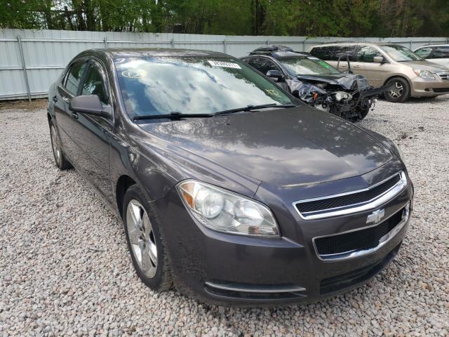 CHEVROLET MALIBU 1LT 2010 1g1zc5eb7af238182